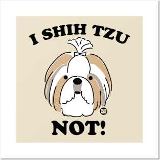 shih tzu not Posters and Art